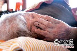 不孝子图片,家庭伦理教育亟待加强