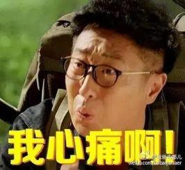 爸爸去哪第五季表情包  第3张