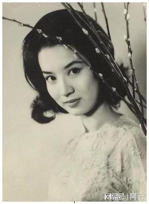 尤敏资料  第3张