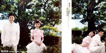 白色恋人图片,白色恋人饼干的美妙邂逅  第3张