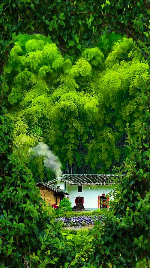 山林华杨宜玲照片曝光