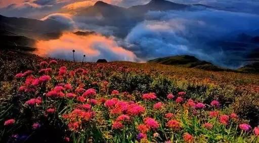 山林华杨宜玲照片曝光  第3张