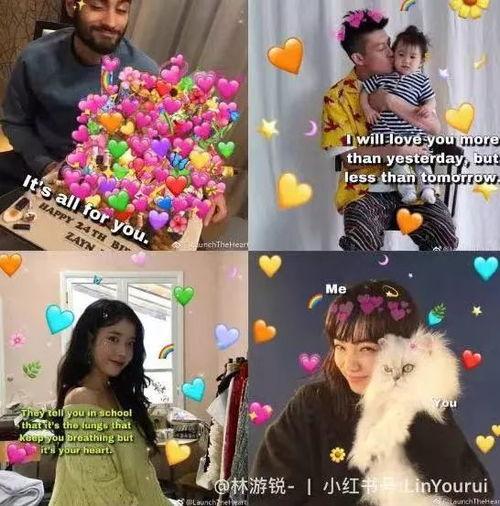 娱乐圈q群,揭秘明星幕后故事与互动瞬间